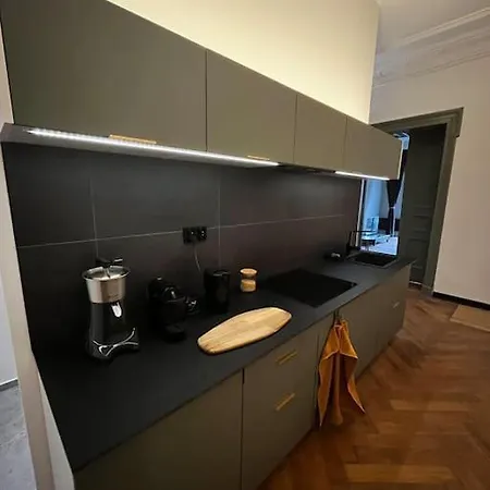 Apartamentowiec Plac Wolności Apartment *